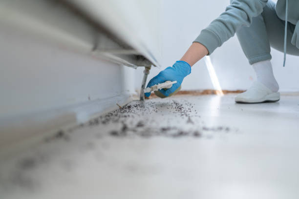 Flea Control Services in Topeka, KS